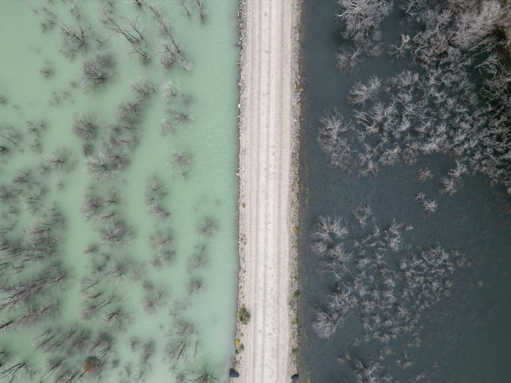 Bäume im Wasser aus der Vogelperspektive