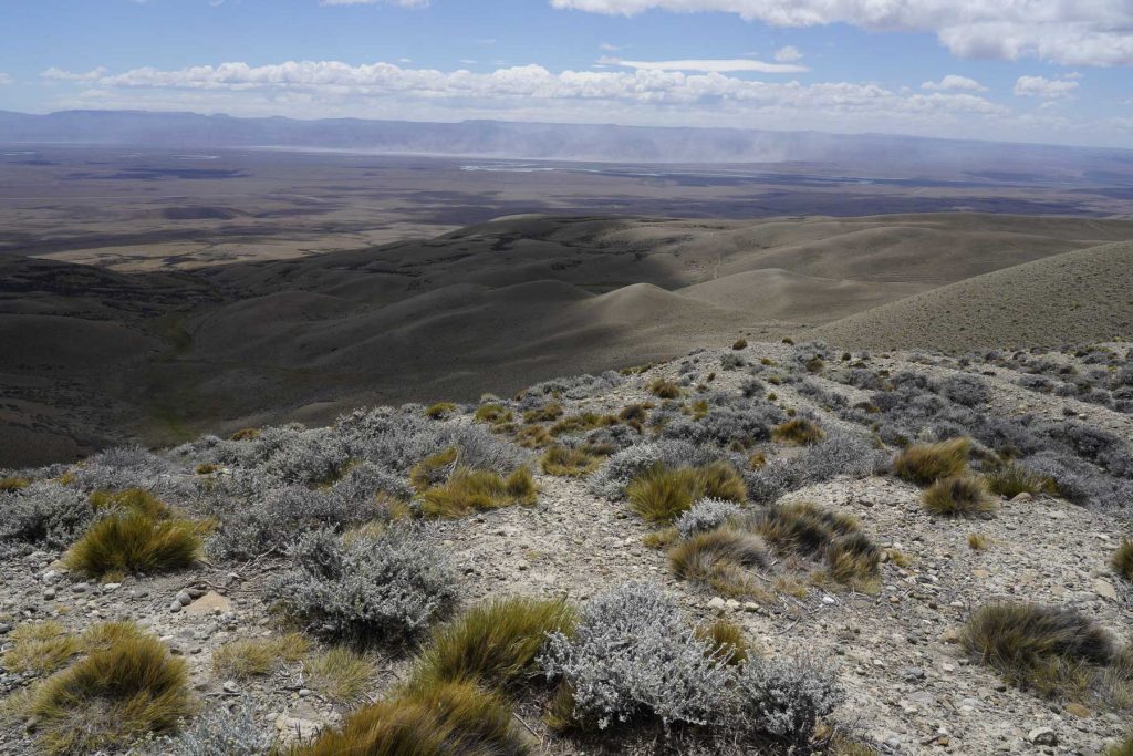 Steppenlandschaft mit Wüste im Hintergrund - Reisebericht Patagonien