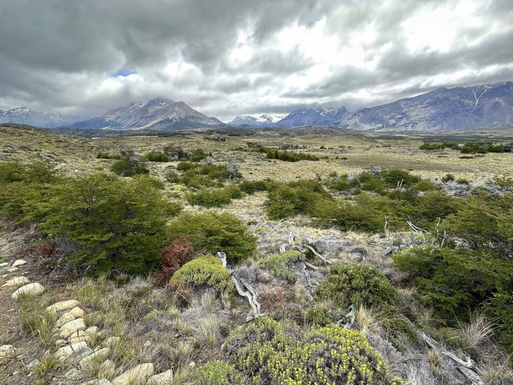 Steppenlandschaft vor Bergkulisse im Perito Moreno Nationalpark, Patagonien