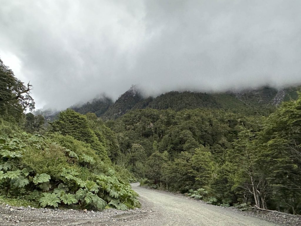 Schotterpiste durch Regenwald in der Nähe von Puerto Puyuhuapi