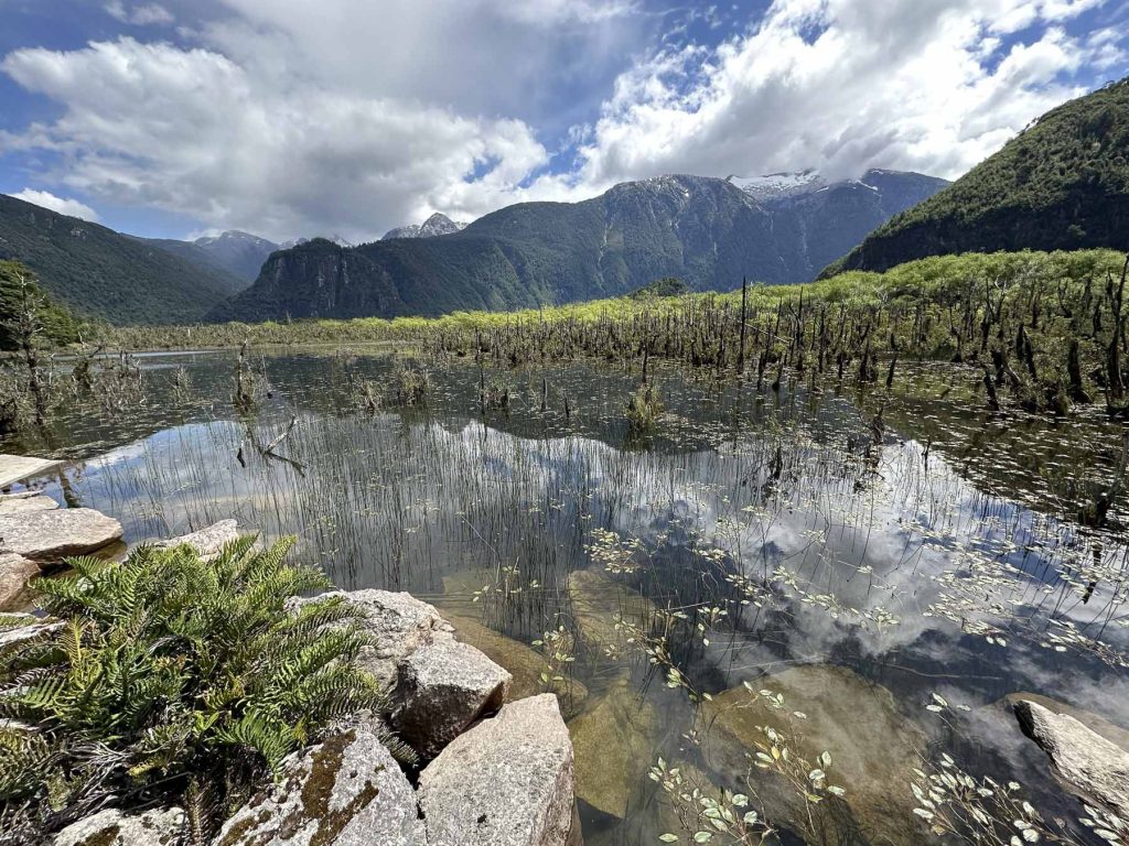 Bäume im Wasser - Reisebericht Patagonien