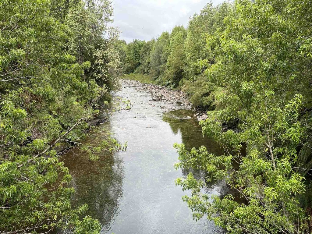 Flusslauf bei einer Wanderung im Pumalin Park, Chile