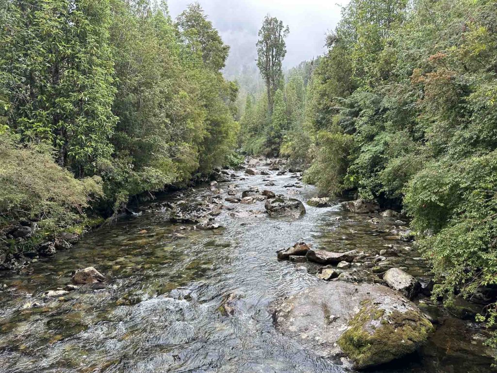 Flusslauf im Dschungel bei Wanderung im Pumalin Park, Chile