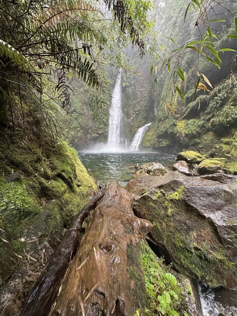 Doppel-Wasserfall Baja bei der Wanderung im Pumalin Nationalpark, Patagonien