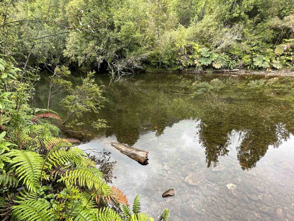 Tümpel auf der Wanderung im Alerce Andino Nationalpark, Chile