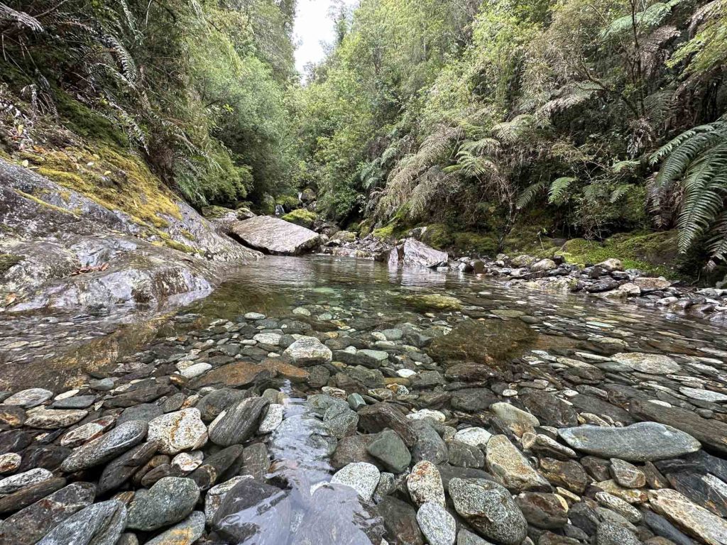 Flusslauf im Dschungel während der Wanderung im Alerce Andino Nationalpark