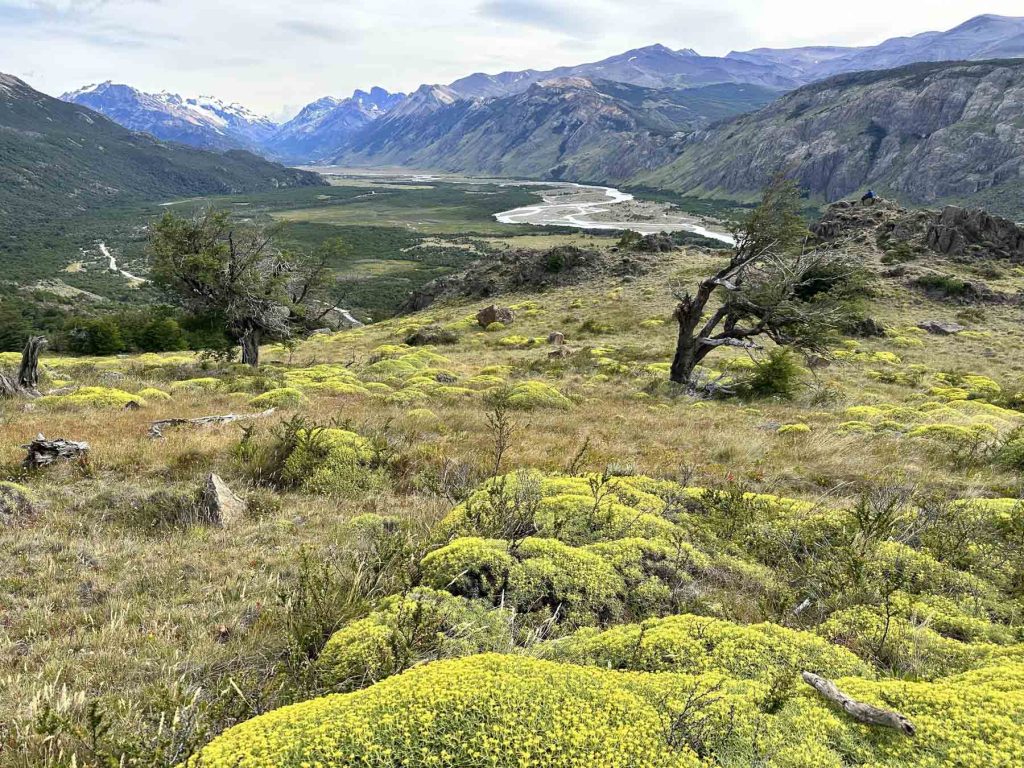 Flusstal Landschaft um El Chaltén