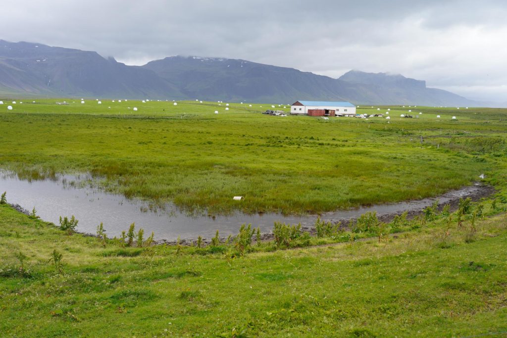 Anarstapi - Island 10 Tage Rundreise 