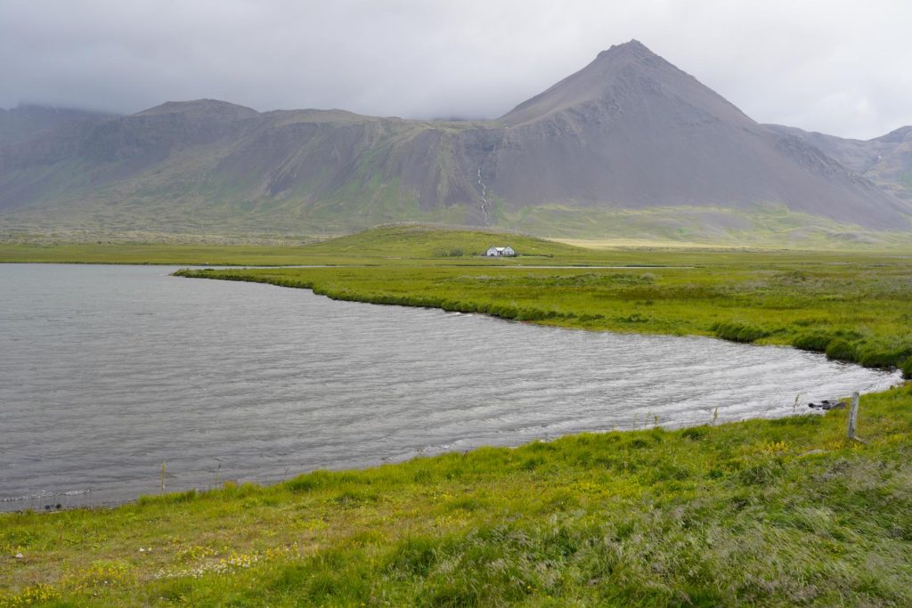 Küste vor moosbedeckten Bergen - Island 10 Tage Rundreise 