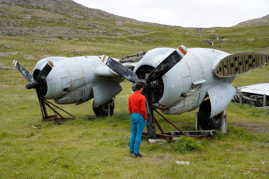 Flugzeugwrack - 10 Tage Rundreise Island