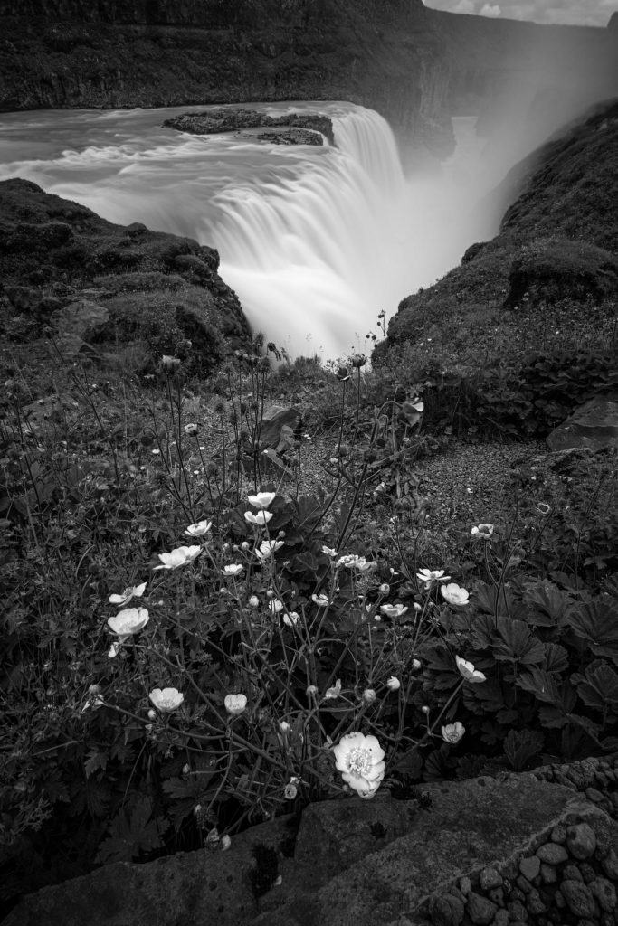 Schwarz weiss Aufnahme vom Gullfoss Wasserfall in Island