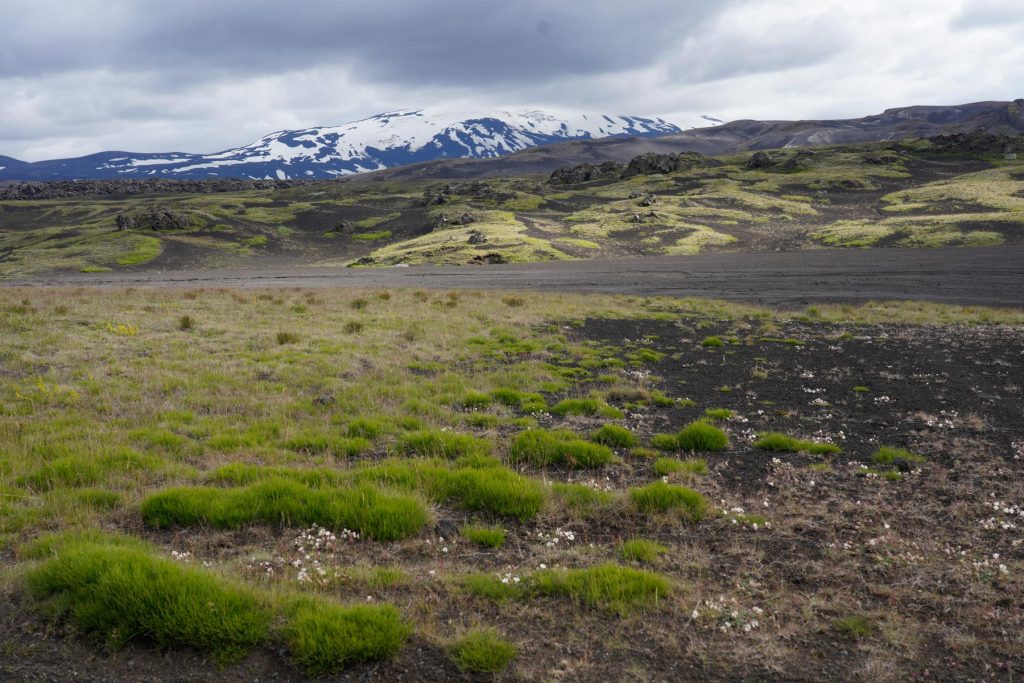 Schotterpiste auf der Anreise nach Landmannalaugar, unser Startpunkt der Bláhnúkur Wanderung in Island.