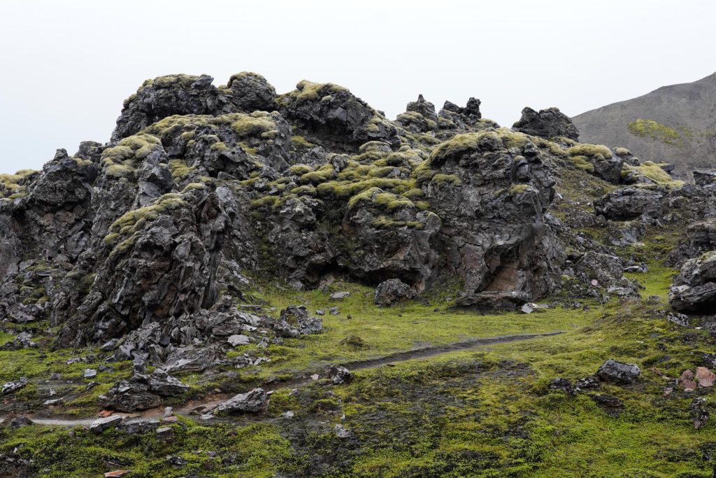 Lavasteine - Rundreise Island