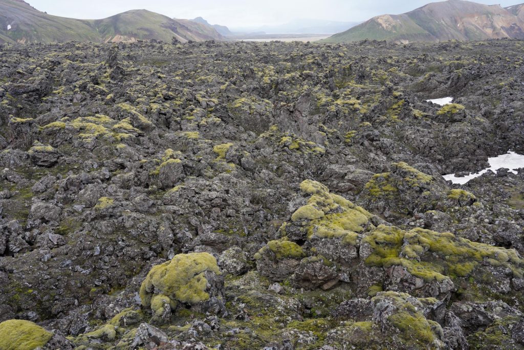 Moosbedecktes Lavafeld um Landmannalaugar