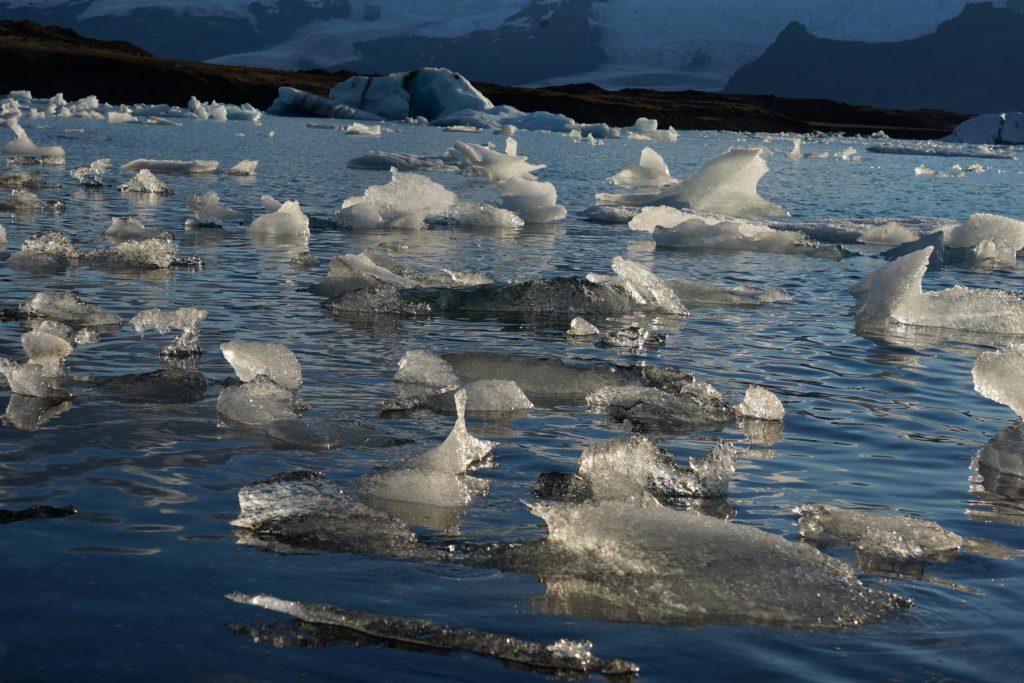 Eisberge auf Gletschersee - Rundreise Island