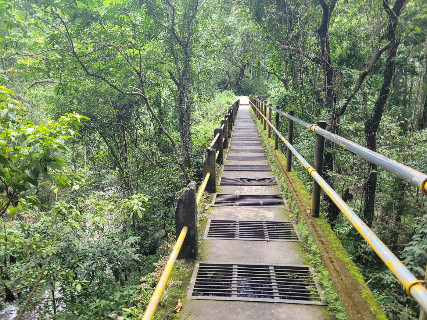 Der Weg zum Tiu Kelep Wasserfall durch den Dschungel