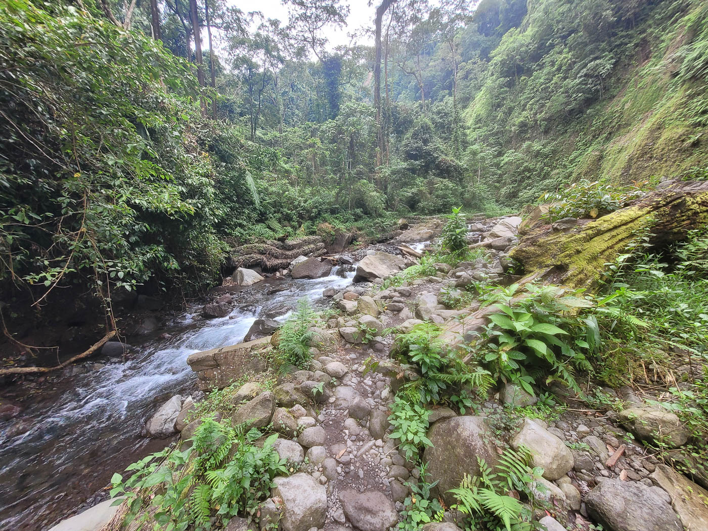 Der Weg zum Tiu Kelep Wasserfall durch den Dschungel