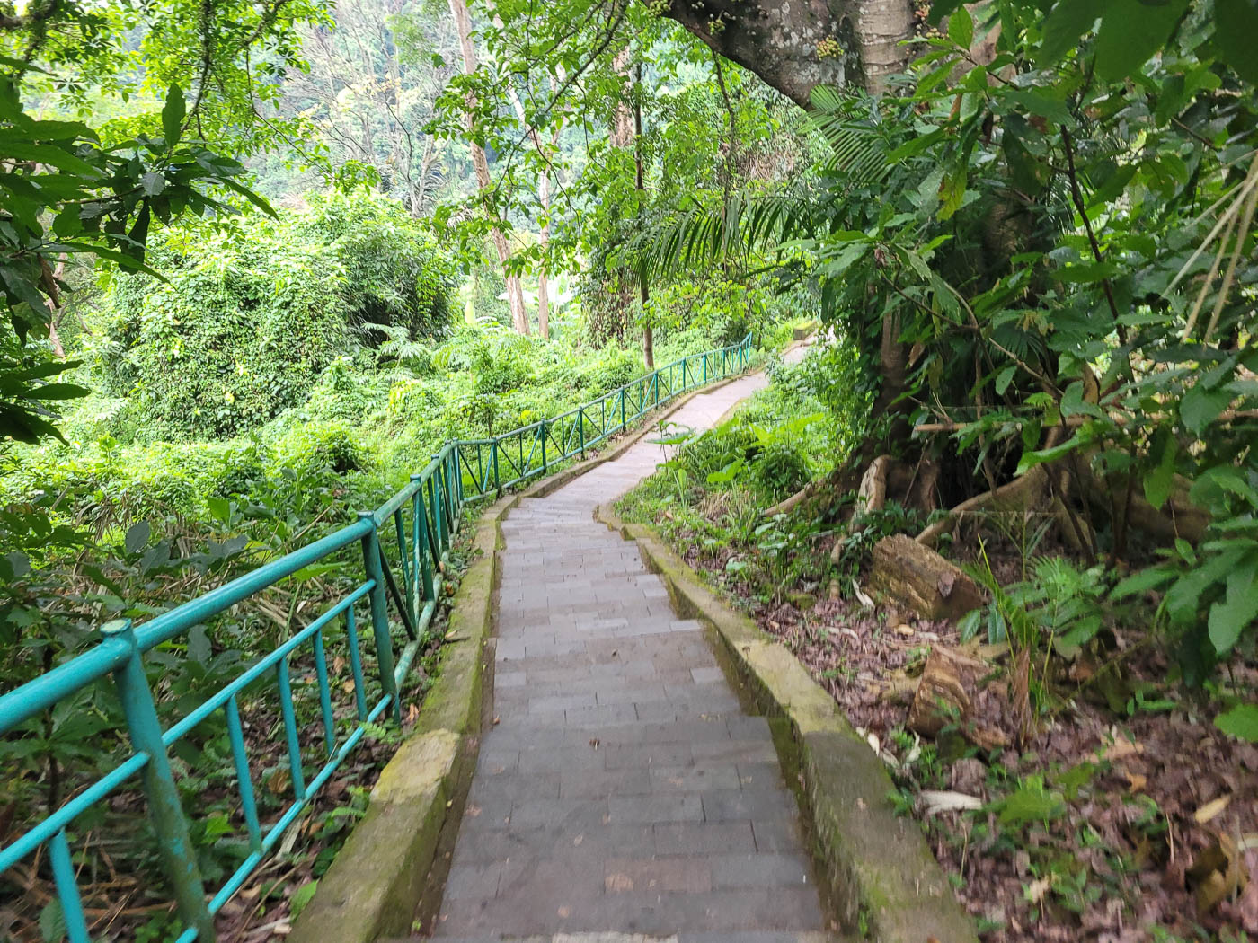 Der Weg zum Tiu Kelep und Air Terjun Wasserfall