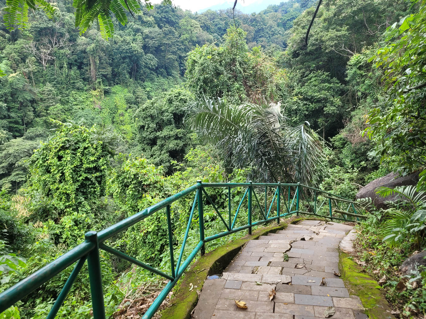 Der Weg zum Tiu Kelep und Air Terjun Wasserfall