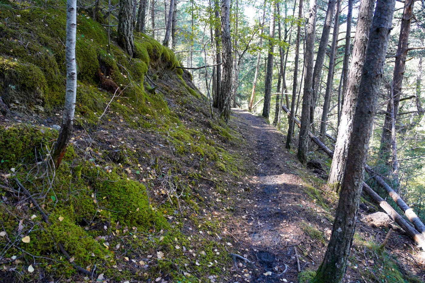 Wanderpfad im Naturpark Parc Natural Cadí-Moixeró