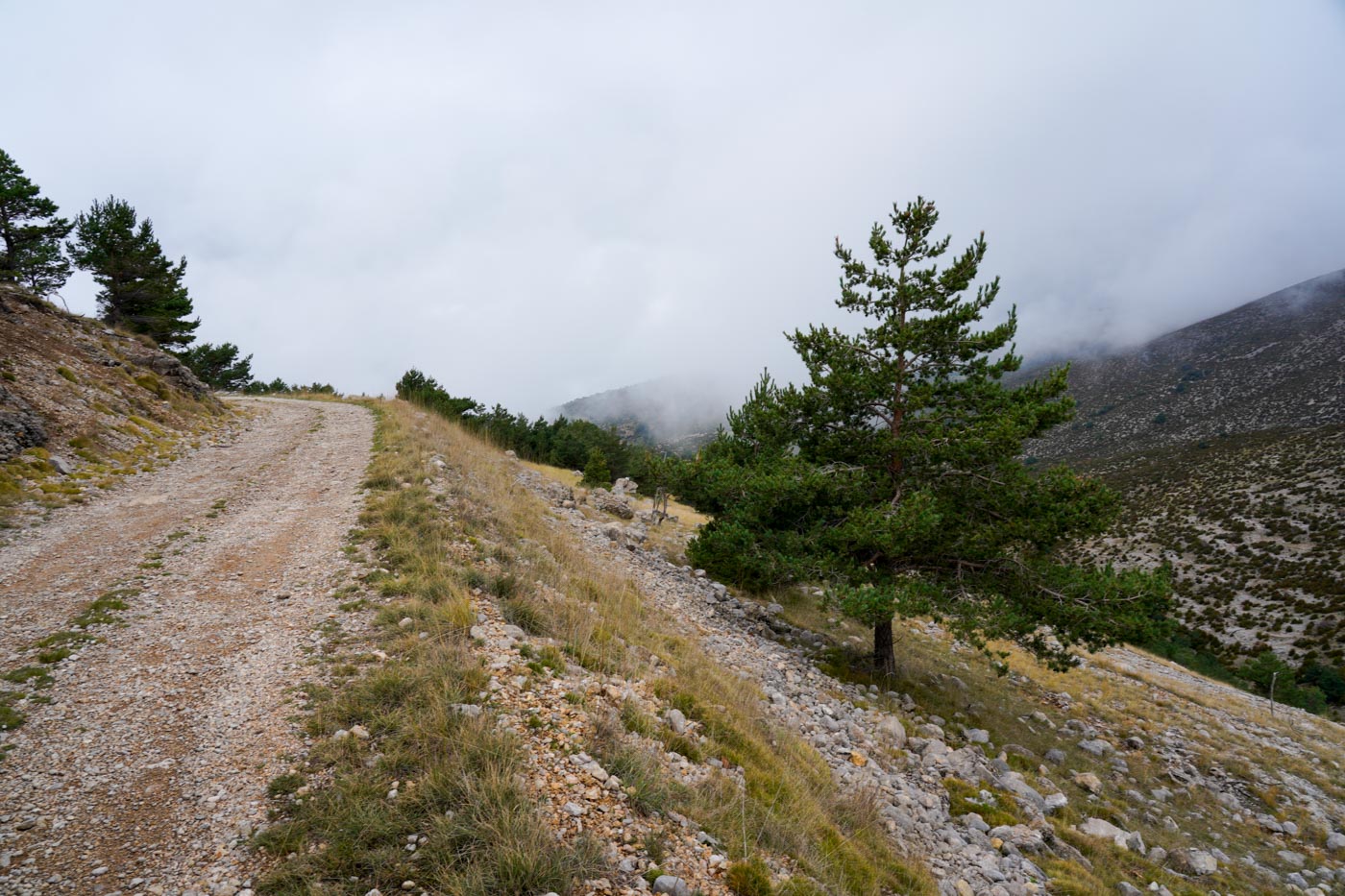 Schotterpiste während der Offroad-Route in der Sierra de Boumort - Pyrenäen