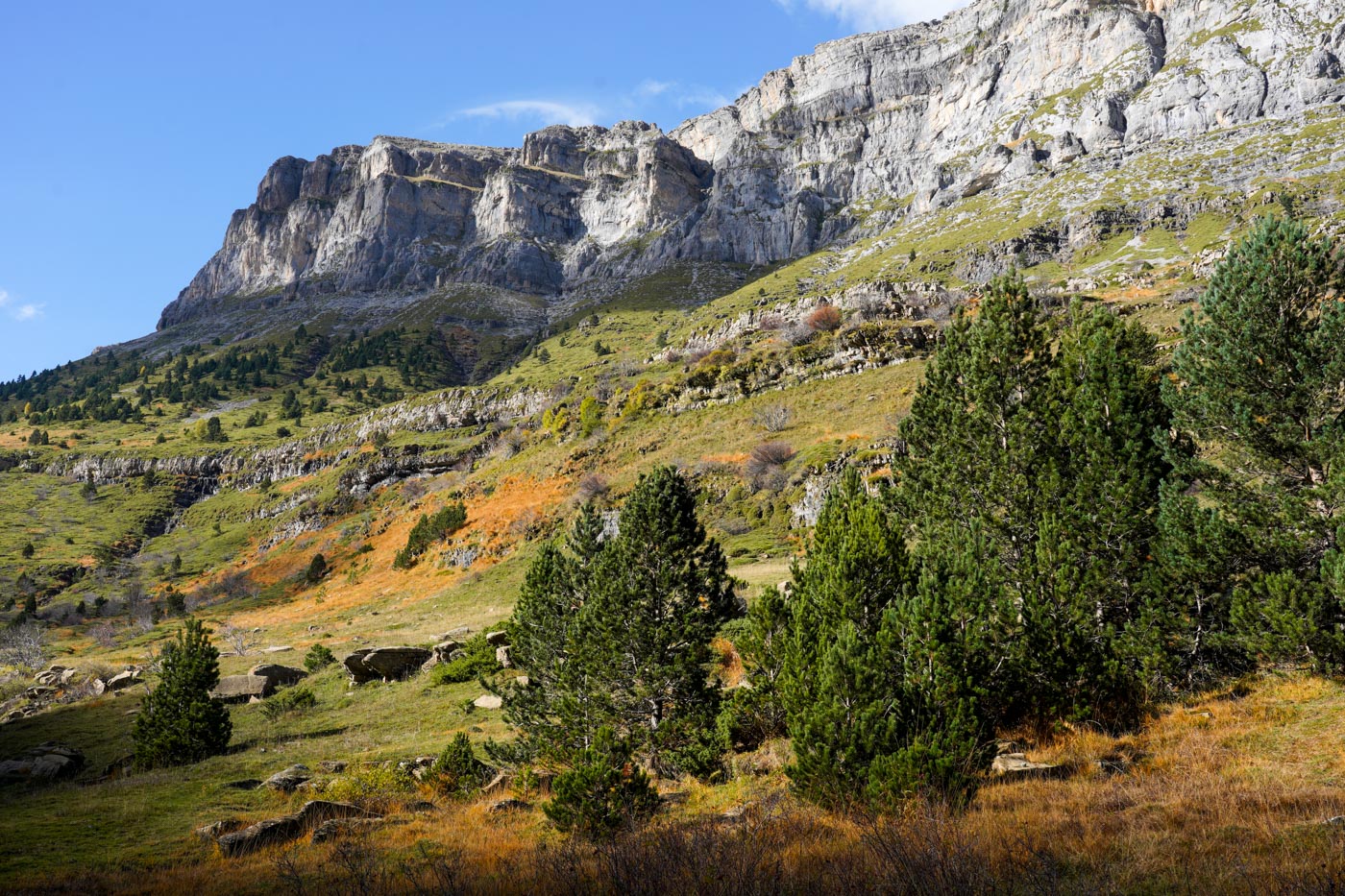 Valle de Ordesa Canyon