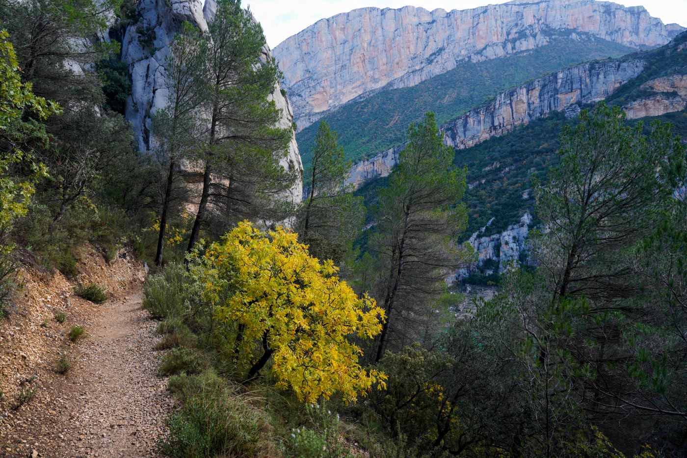 Wanderweg auf dem Weg zur Schlucht Congost de Mont Rebei in den Pyrenäen