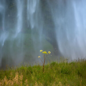 Seljalandsfoss