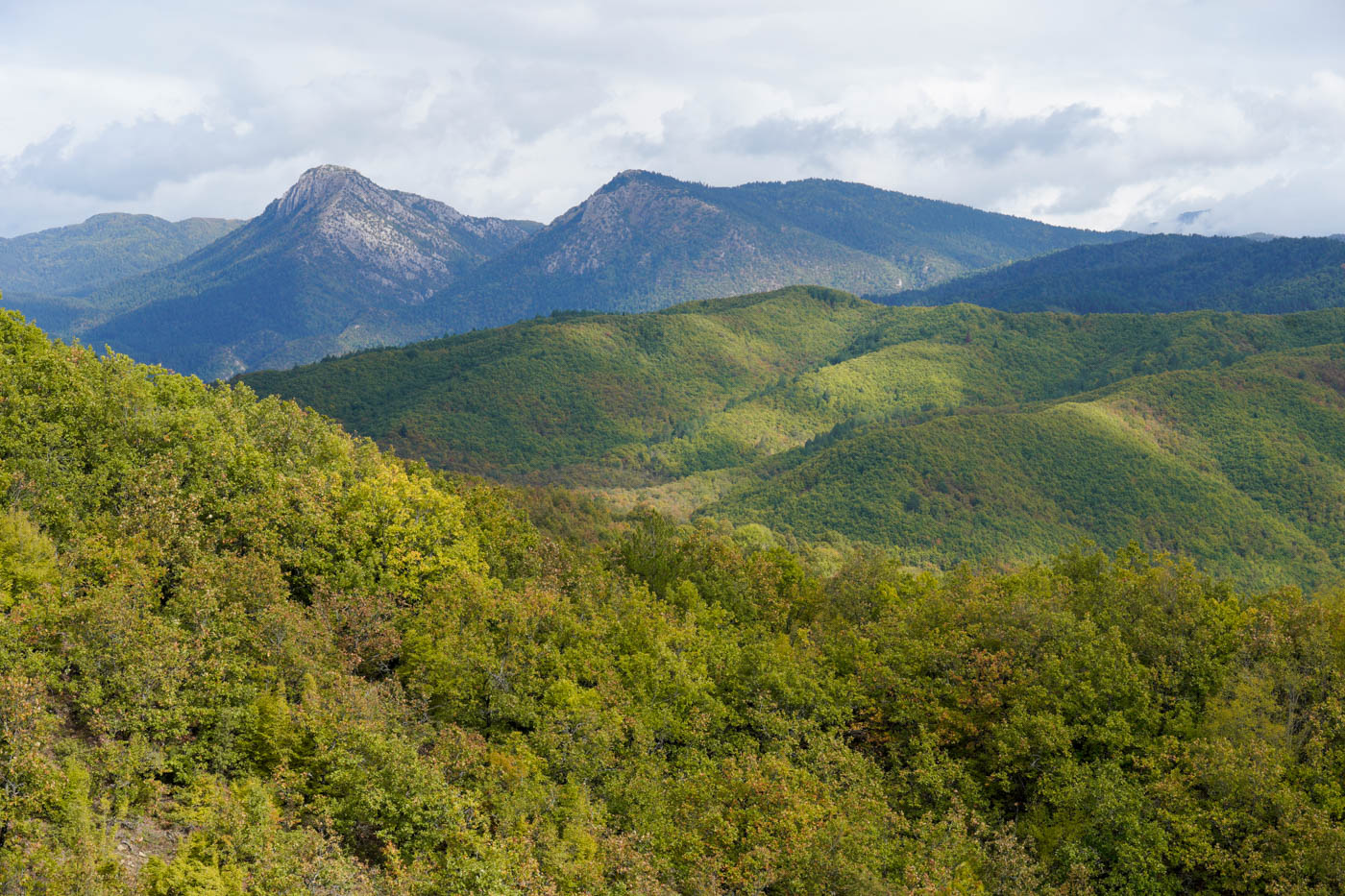 Völlständig begrünte Berge während der Anfahrt zum Beloi Aussichtspunkt