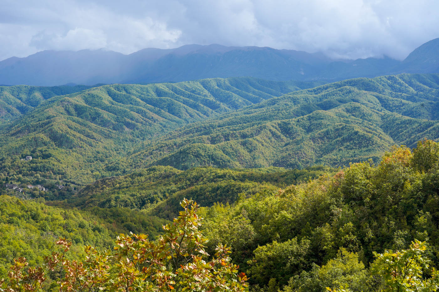 Völlständig begrünte Berge während der Anfahrt zum Beloi Aussichtspunkt