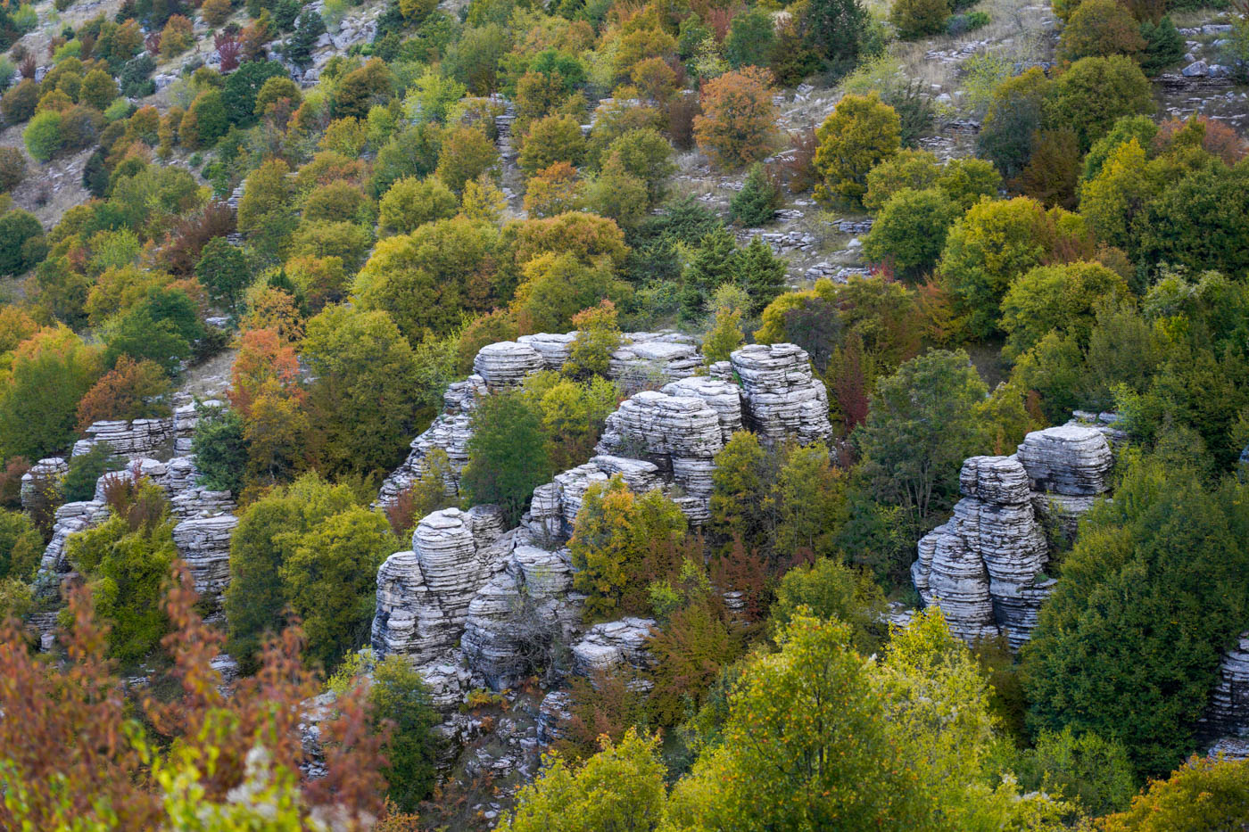 Kalkstein-Felsformationen auf dem Weg zum Beloi-(Balkon) Aussichtspunkt