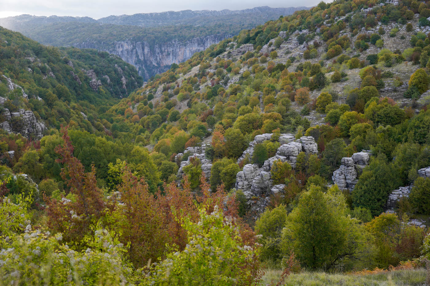 Kalkstein-Felsformationen auf dem Weg zum Beloi-(Balkon) Aussichtspunkt