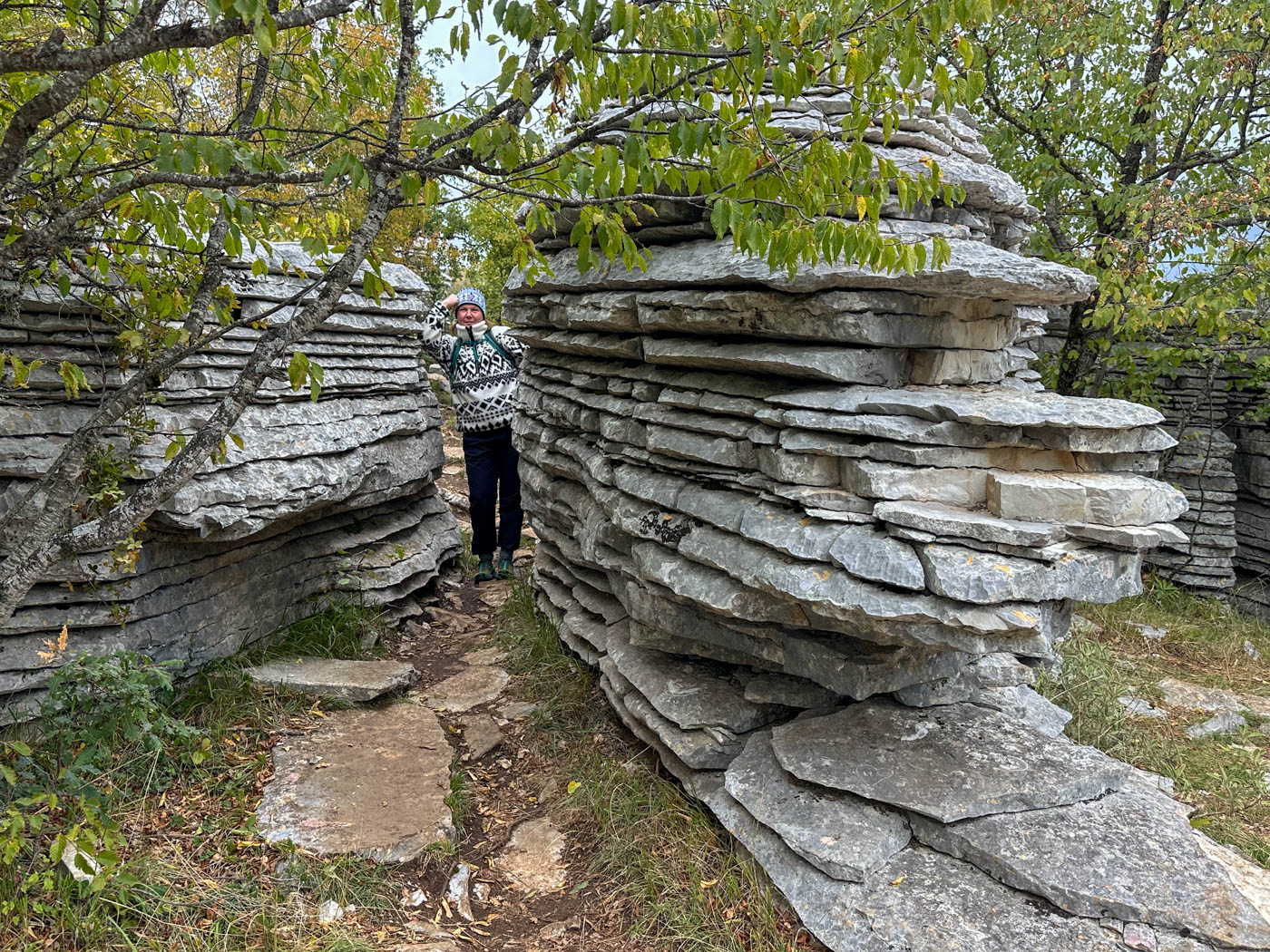 Turmförmig gestapelte Kalkstein-Felsformation im Stone Forest