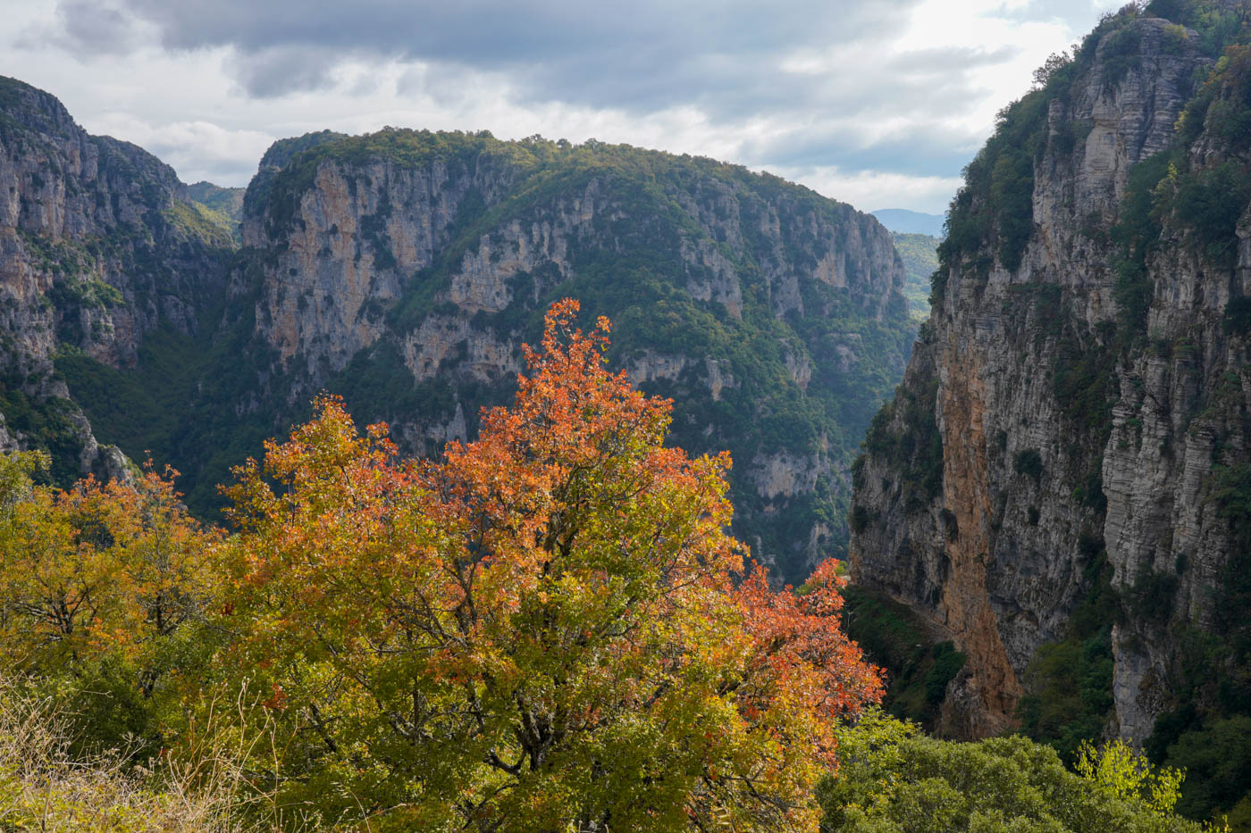 Blick in die Schlucht.