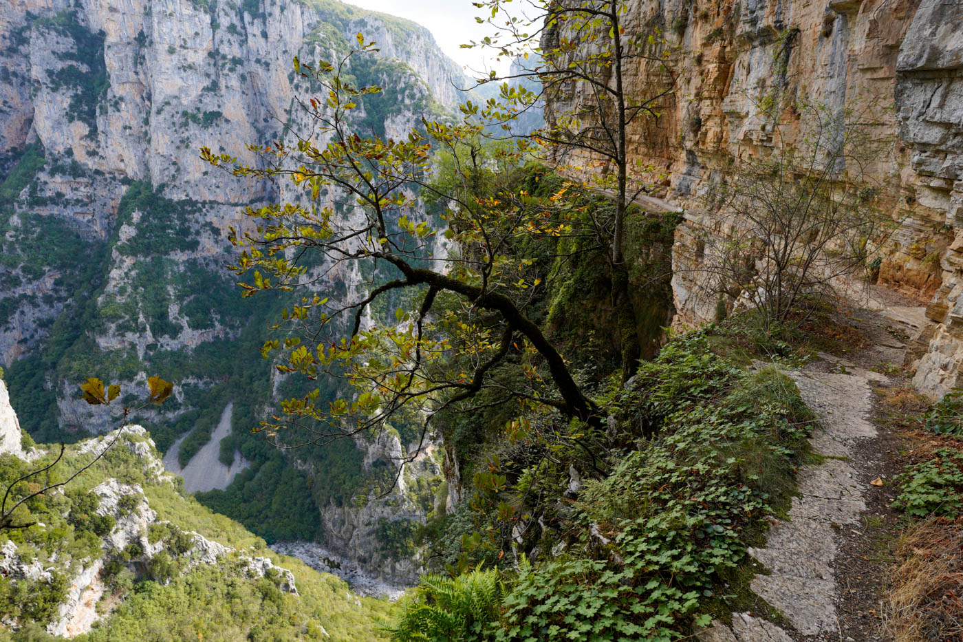 Ein in die senkrechte Felswand geschlagener Weg