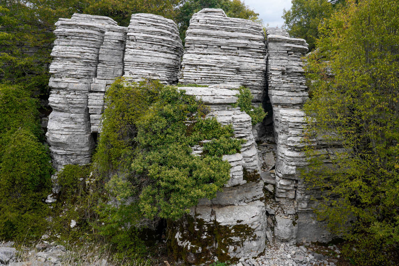 Turmartige Kalkstein Felsformationen im Stone Forest