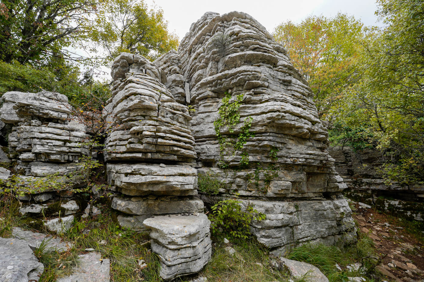 Kalkstein Felsformation im Stone Forest