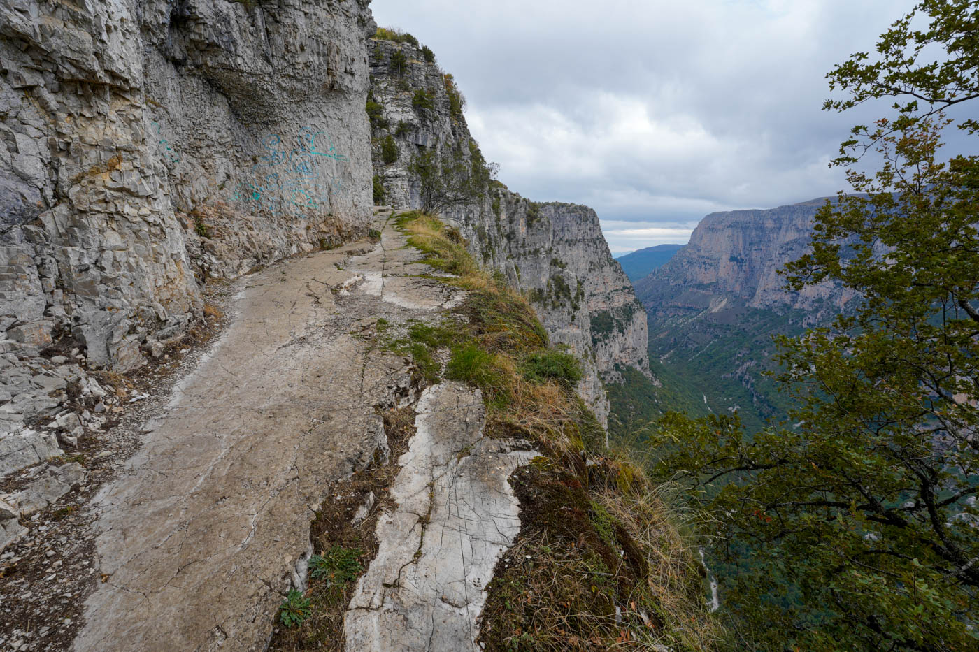 Blick in die Vikos-Schlucht vom Oxia-Viewpoint / Aussichtspunkt