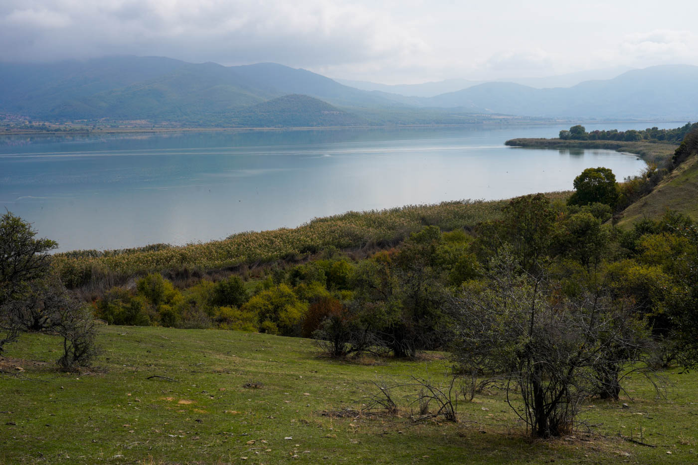 Blick von der Ágios-Achílleios Insel auf den Préspa See