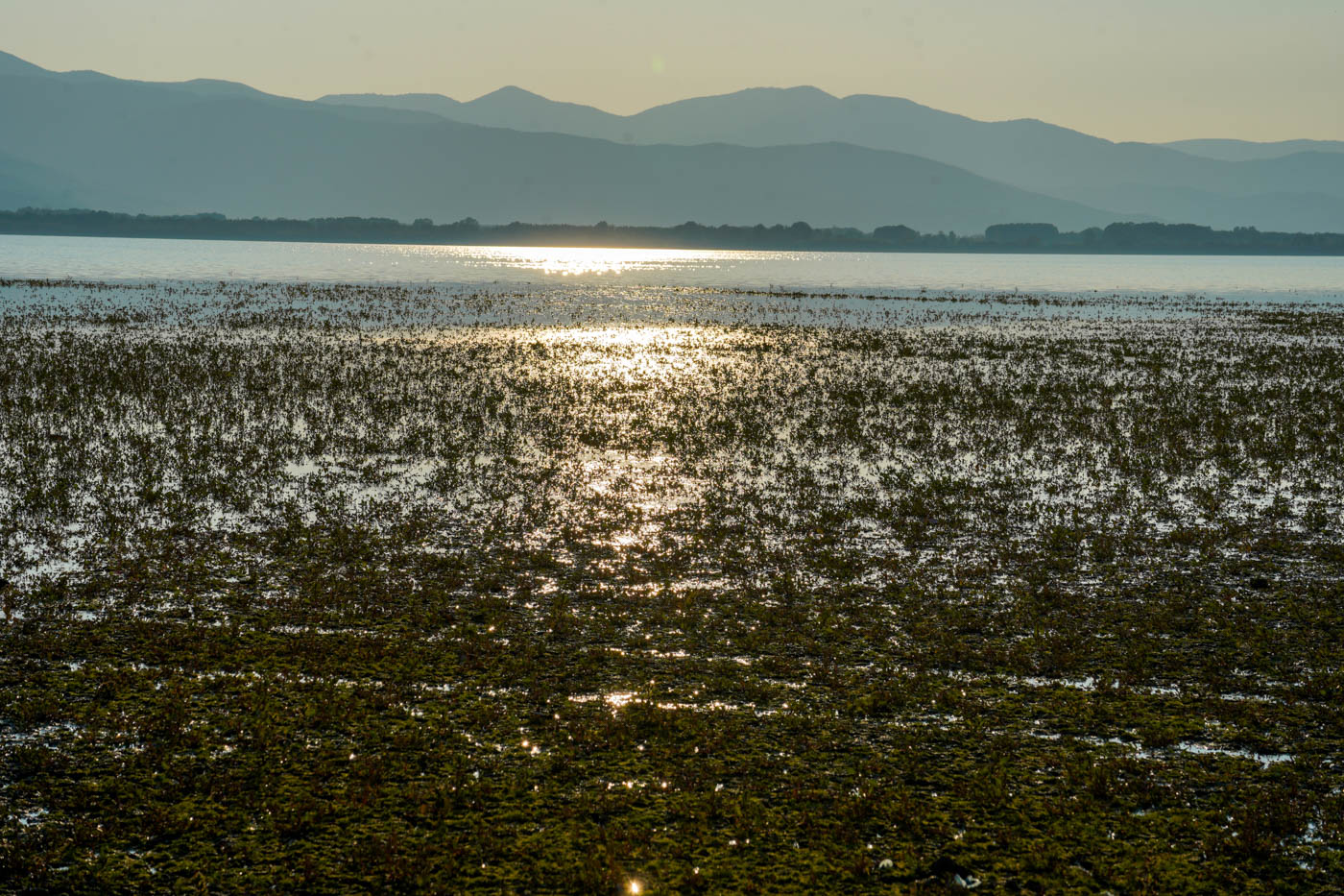 Abendstimmung am Kerkini See in Griechenland