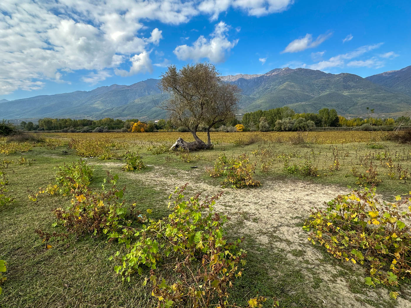 Steppenartige Landschaft am Kerkini See in Griechenland