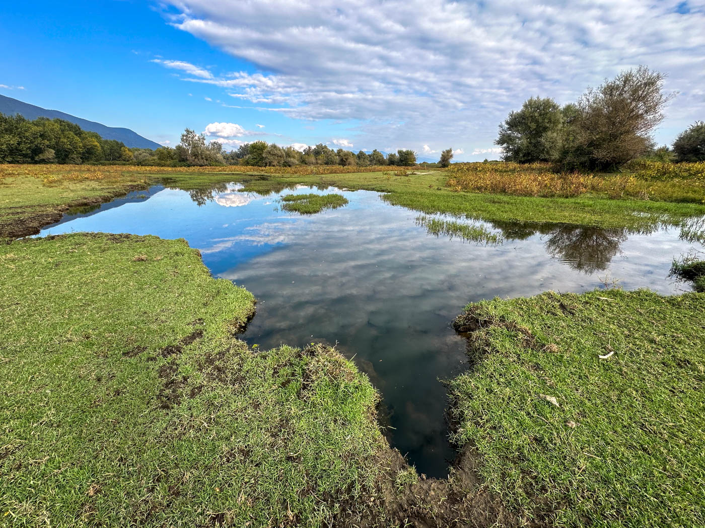 Wasserstelle am Kerkini See in Griechenland