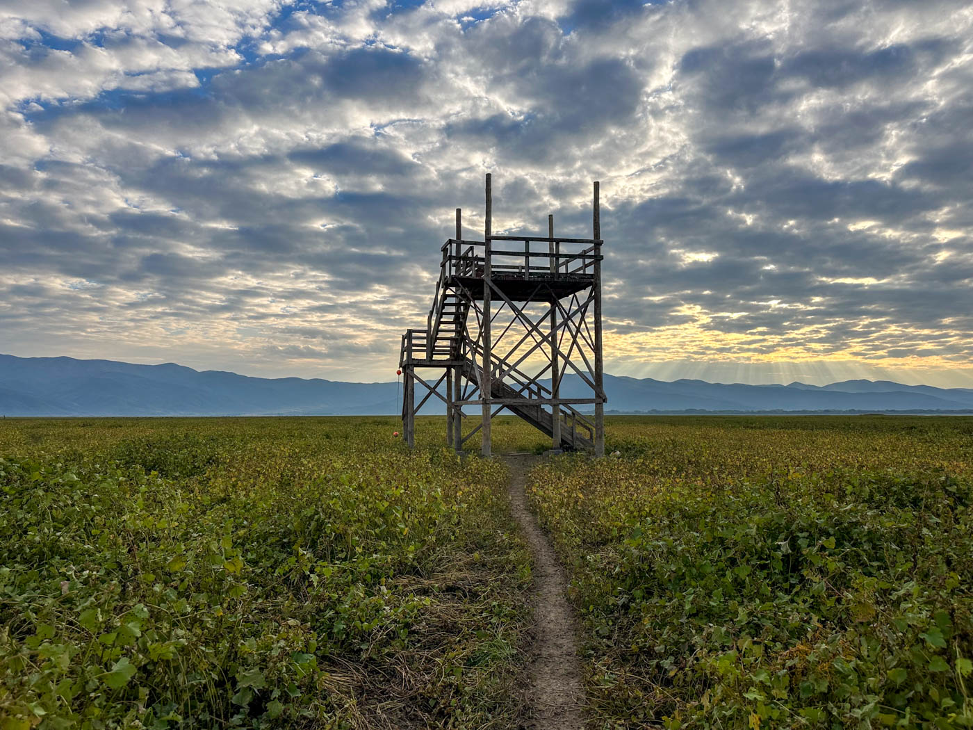 Vogelbeobachtungsstation Pelican Observation Tower am Kerkini See