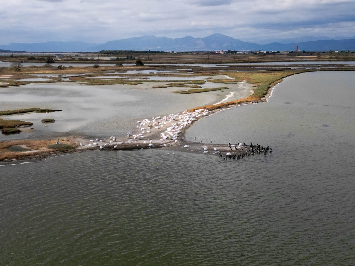 Pelikane und Kormorane in der Lagune von Pórto Lágos