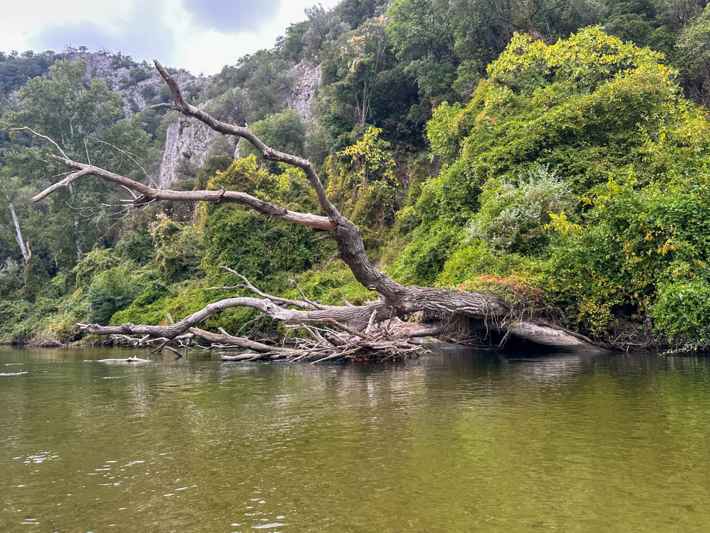 Uferbereich des Néstos Flusses in Griechenland
