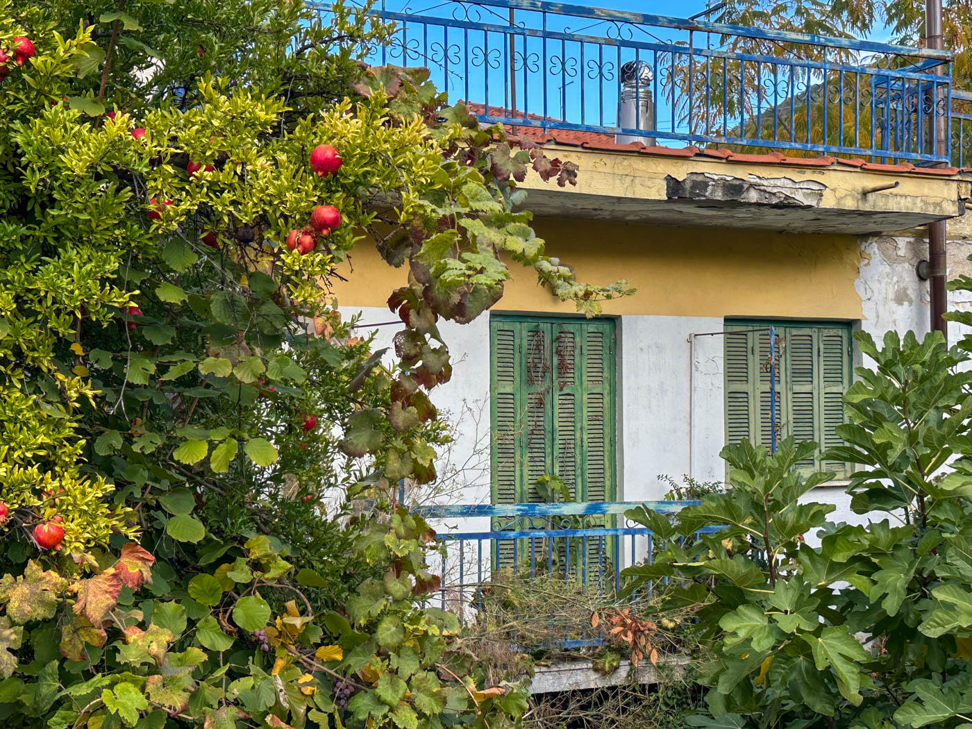 Altes Haus mit Granatspfelbaum in Megáli Panagía