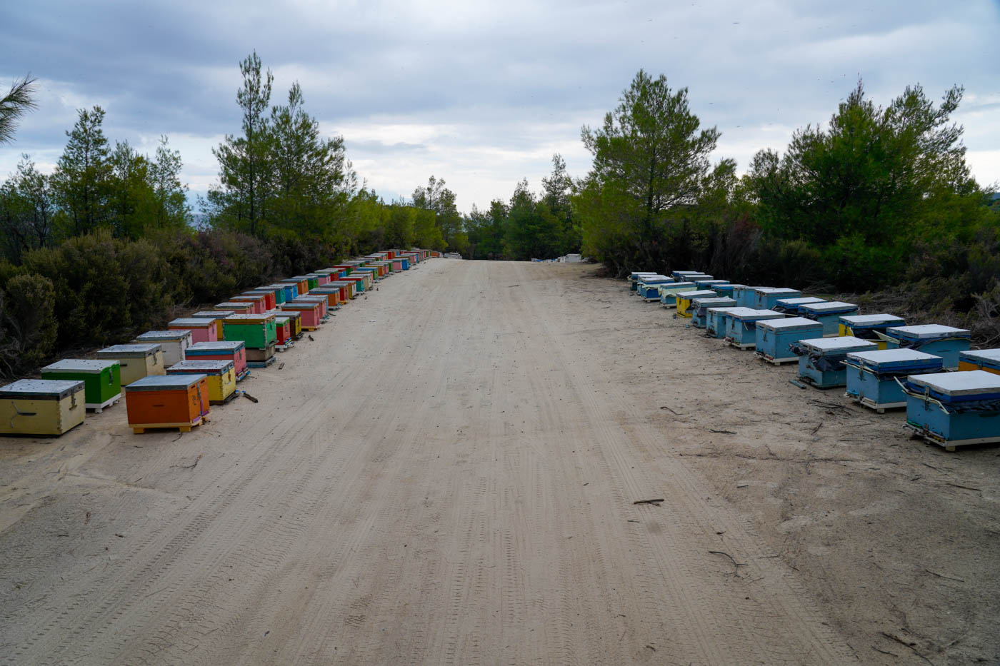 Bienenkästen auf dem Weg zum Paradies Strand auf der Halbinsel Sithonía