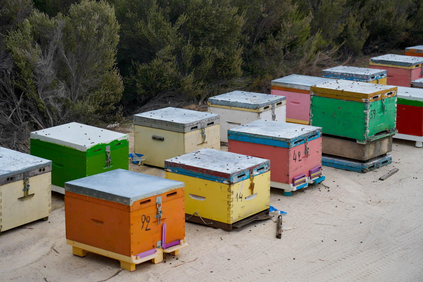 Bienenkästen auf dem Weg zum Paradies Strand auf der Halbinsel Sithonía