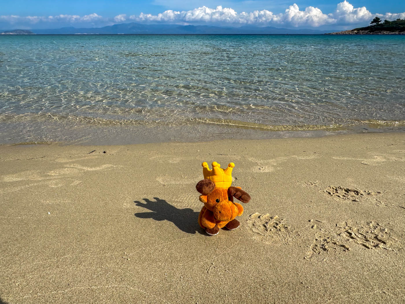 Nils Konge am Palioúri Strand, auch  bekannt als Golden Beach im Süden von Kassandra 