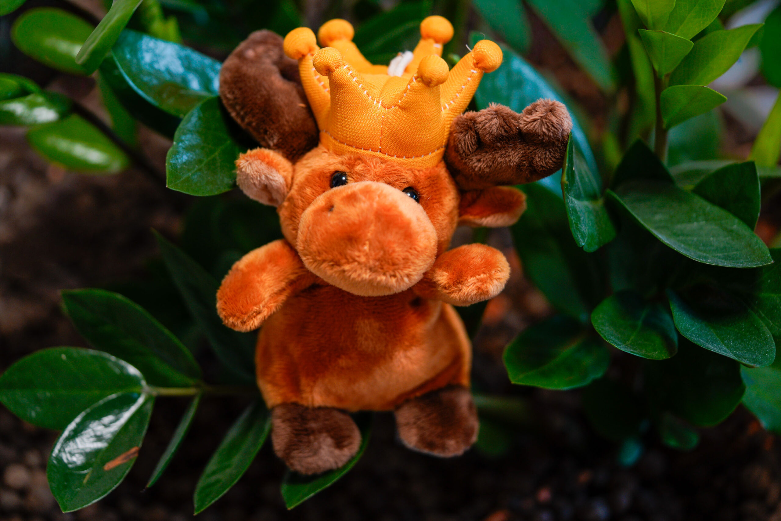 Nils Konge Plüschtier – Bild 2